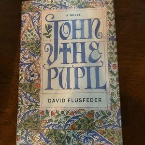 John the Pupil by David Flusfeder - First Edition